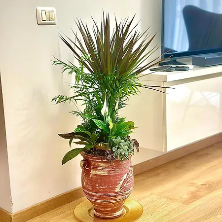 Holiday Apartament 아파트 Vlorë